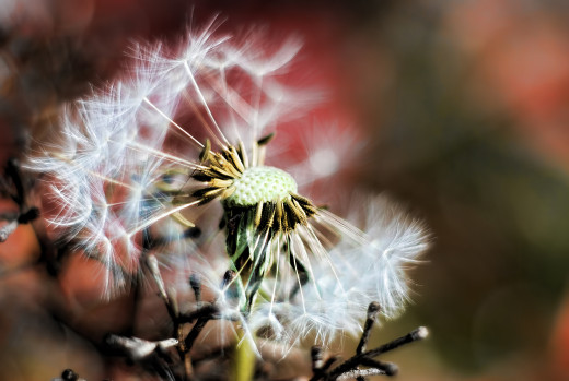 594772 (a): :2560x1714